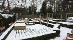 Stephanie's Kitchen Garden Diary - February 2012