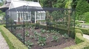 Stephanie's Kitchen Garden Diary - June 2012