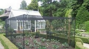 Stephanie's Kitchen Garden Diary - June 2012