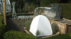 Stephanie's Kitchen Garden Diary - March 2012