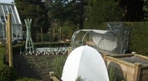 Stephanie's Kitchen Garden Diary - March 2012