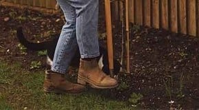 Stephanie's March Top Product Picks