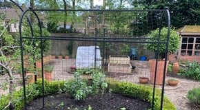 Stephanie's May Top Product Picks