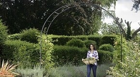 Stephanie's November Top Product Picks