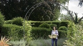 Stephanie's November Top Product Picks