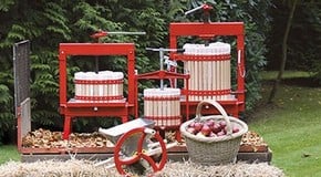 Stephanie's October Top Product Picks