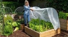 Stephanie's October Top Product Picks