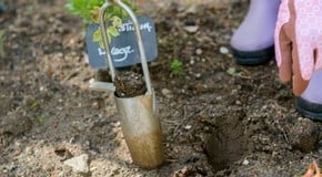 Stephanie's September Top Product Picks