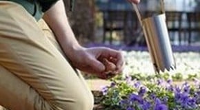 Stephanie's September Top Product Picks