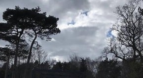 Storm Gareth passes over us