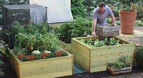 The benefits of growing in a raised bed