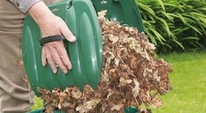 The Big Autumn Clear Up!