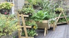 The Manor House Garden - near Bedford, Bedfordshire