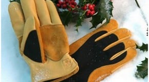 Top 10 Christmas Gift Ideas for Gardeners