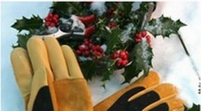 Top 10 Christmas Gift Ideas for Gardeners