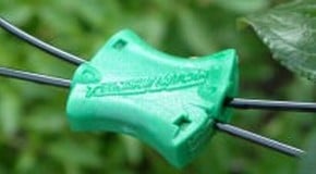 Training Fruit Trees