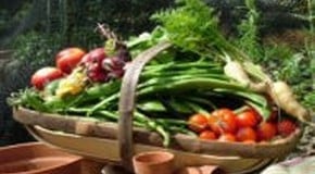 Veg and Fertiliser for the Winter months