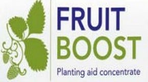 Vine weevil attacking my grapes!