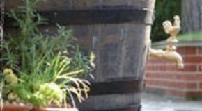 Water Butt my Raspberries!