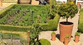 Weekly Kitchen Garden Blog - keeping fed and watered