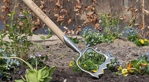 Weekly Kitchen Garden Blog - mulching the raised beds