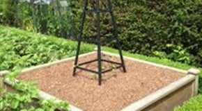 Weekly Kitchen Garden Blog - Sweet Potato Display