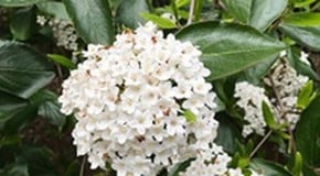 What a change in the weather!