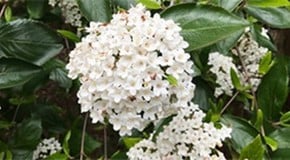 What a change in the weather!