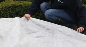 What a difference a week makes