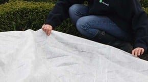 What a difference a week makes