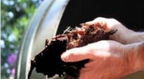 Which Compostumbler?