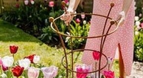 Why it's a good idea to provide Plant Supports for Perennials