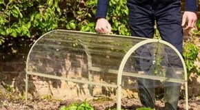 Win a Harrod Longrow Cloche!