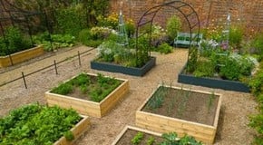 Win Award Winning Raised Beds!
