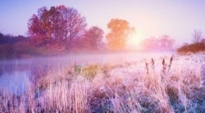 Winter Gardening Jobs