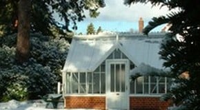 Winter in the Greenhouse