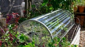 Year-Round Gardening with the Harrod Longrow Cloche