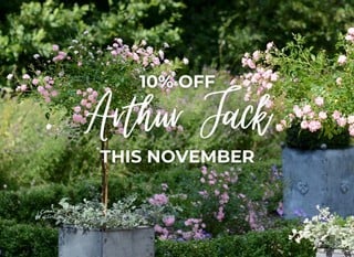 UK Made, Hand-Crafted Planters UK Made, Hand-Crafted Planters