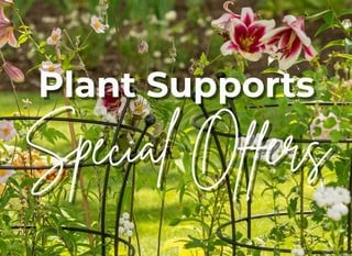 Plant Supports Special Offers Plant Supports Special Offers