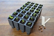 28 cell Deep Root Success Kit