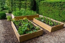 Allotment Wooden Raised Beds