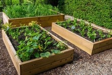 Allotment Wooden Raised Beds