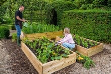 Allotment Wooden Raised Beds