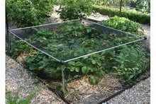 Aluminium Strawberry Cage with Heavy Duty Anti-Bird Netting