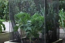 Aluminium Vegetable Cage Kit (1.5m high) Aluminium Vegetable Cage Kit (1.5m high)