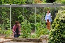 Aluminium Vegetable Cage with Butterfly Netting (2m H)