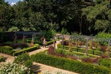 Contemporary Pergola Walkway