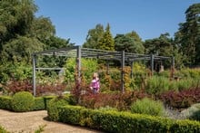 Contemporary Pergola Walkway