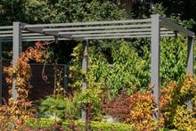 Contemporary Pergola Walkway