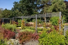 Contemporary Pergola Walkway